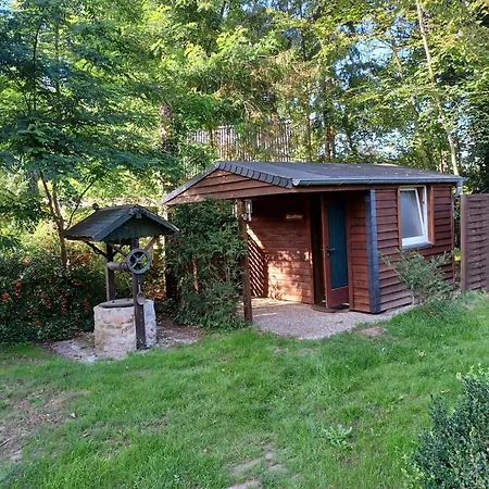 Elbliebehunde Bis 25cm Hoehe Erlaubt! *