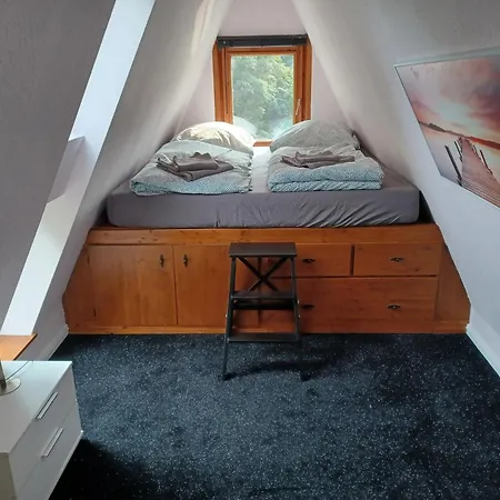 Elbliebehunde Bis 25cm Hoehe Erlaubt! *